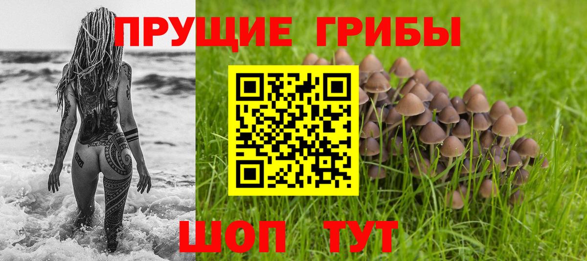 Галлюциногенные грибы мицелий  Галлюциногенные грибы Psilocybe  Вход с VPN  Карачаевск 